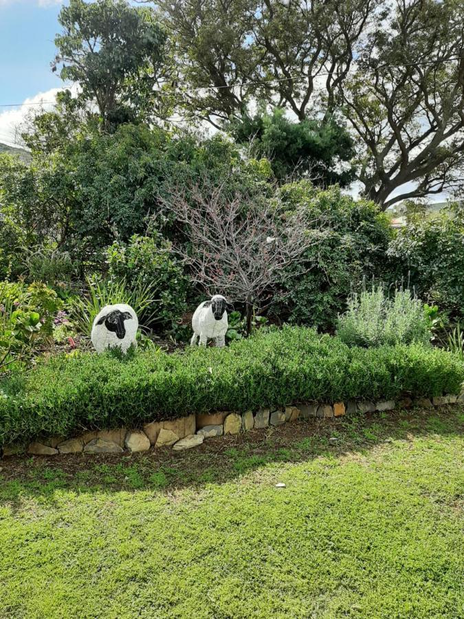 Over Karoo Inn Barrydale Kültér fotó